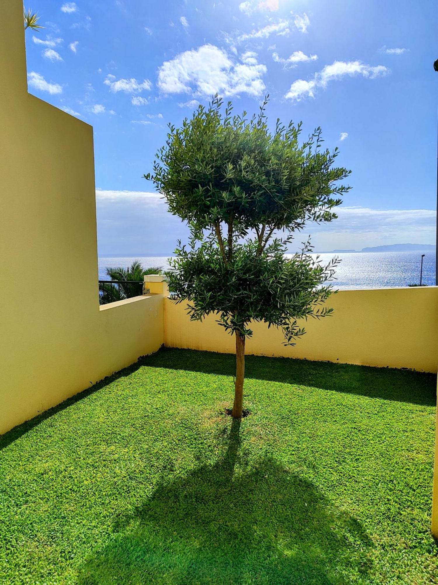 Sun Hill Apartment Santa Cruz  Kültér fotó